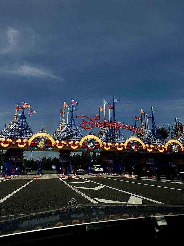 abbyy.irl image ~ Altpins