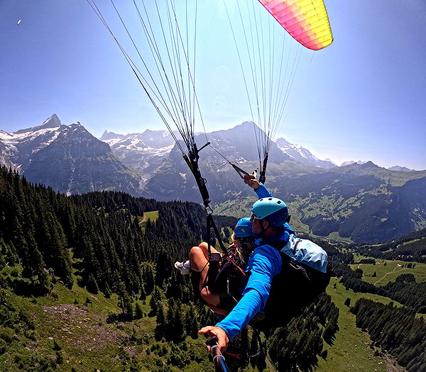 abbyy.irl image ~ Altpins