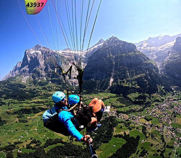 abbyy.irl image ~ Altpins