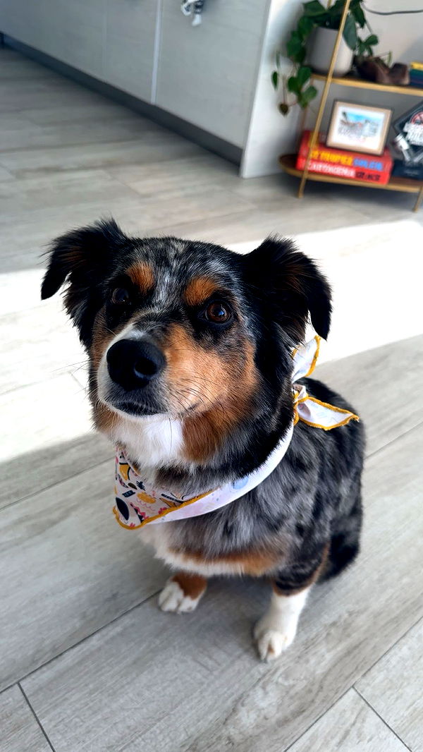 abbyy.irl image ~ Altpins