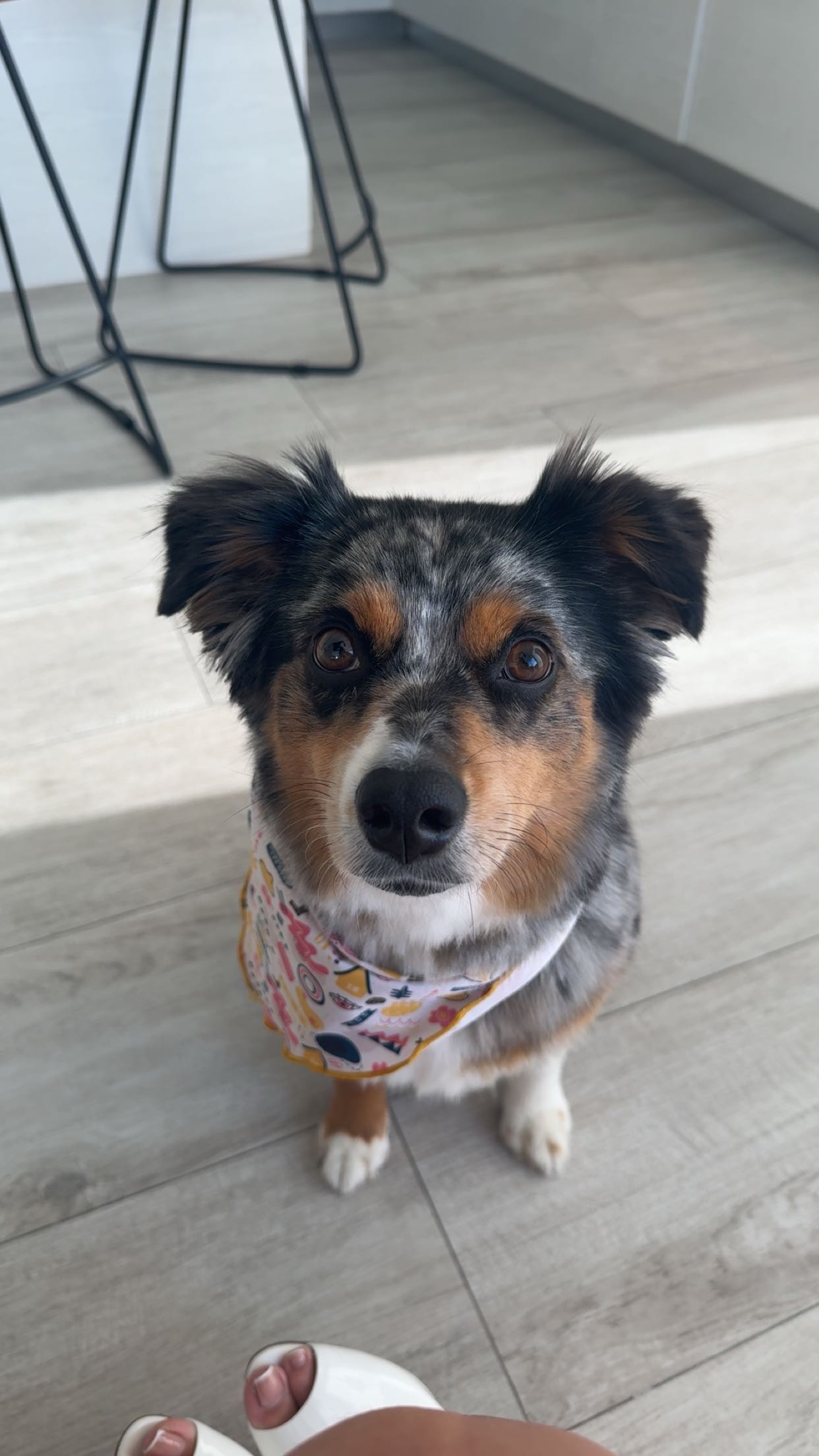 abbyy.irl snapchat image archive image