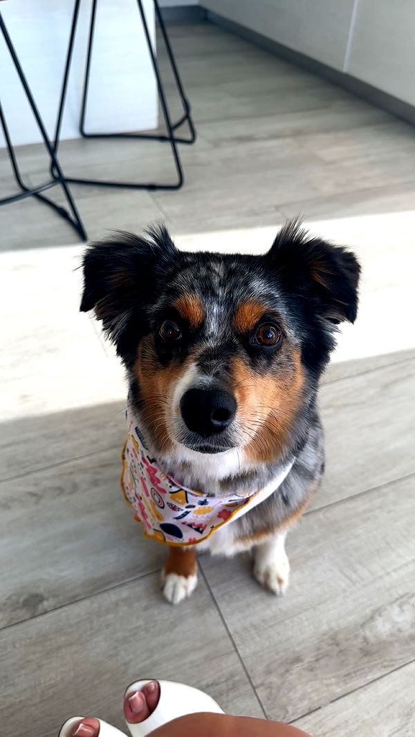 abbyy.irl image ~ Altpins