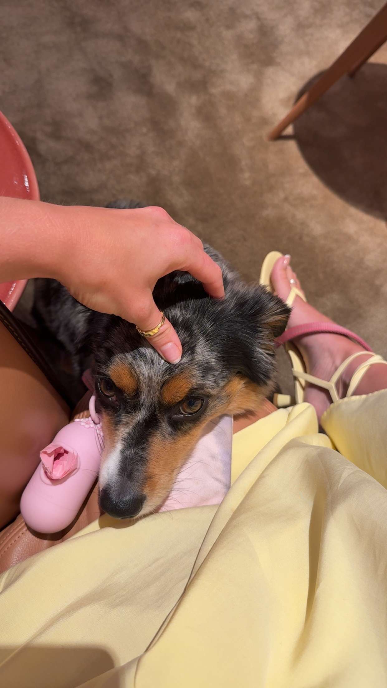 abbyy.irl snapchat image archive image