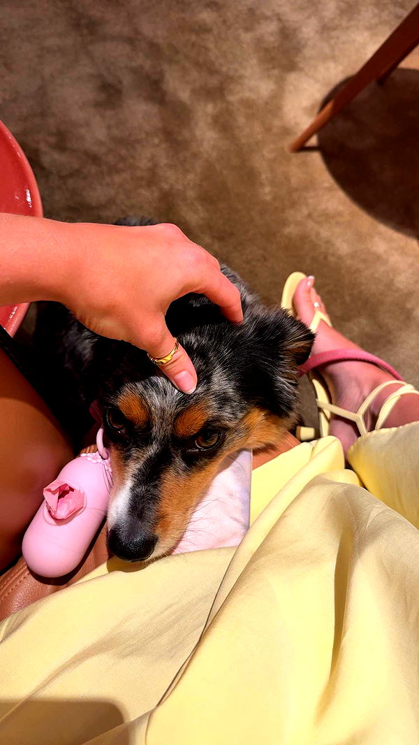 abbyy.irl image ~ Altpins