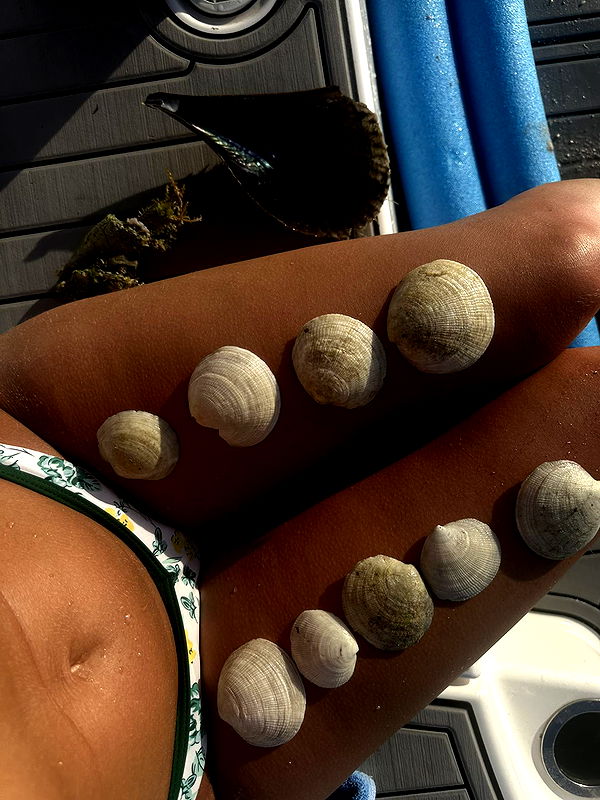 abbyy.irl image ~ Altpins