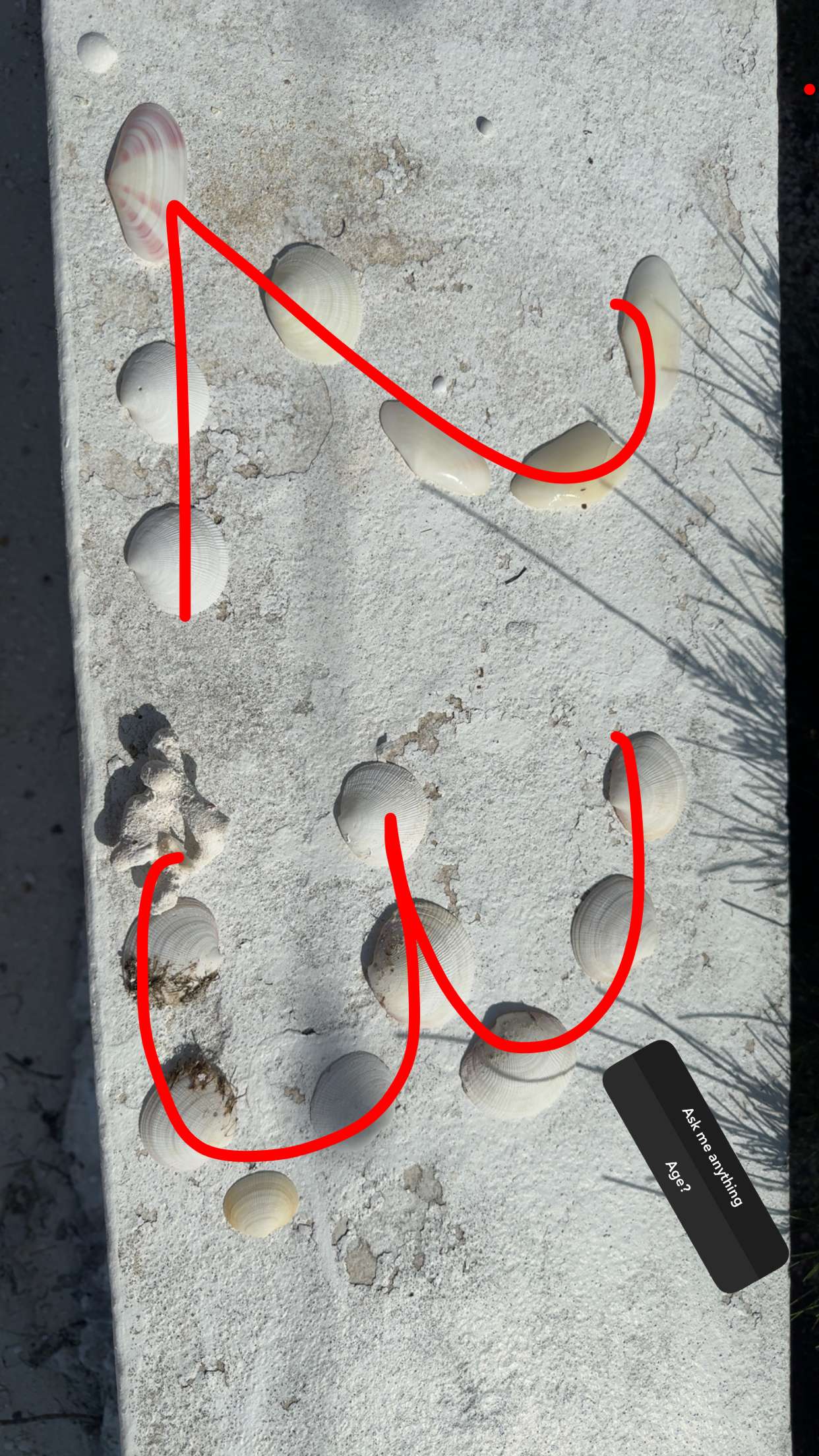 abbyy.irl snapchat image archive image