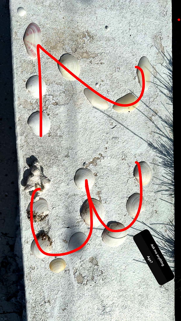 abbyy.irl image ~ Altpins