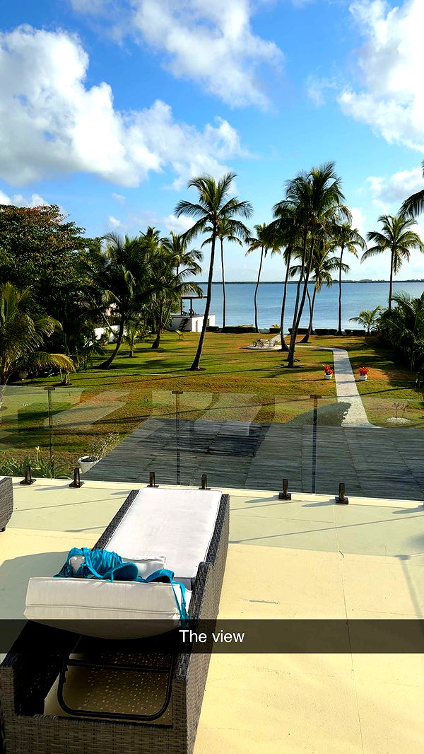 abbyy.irl image ~ Altpins