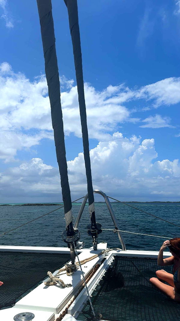 abbyy.irl image ~ Altpins