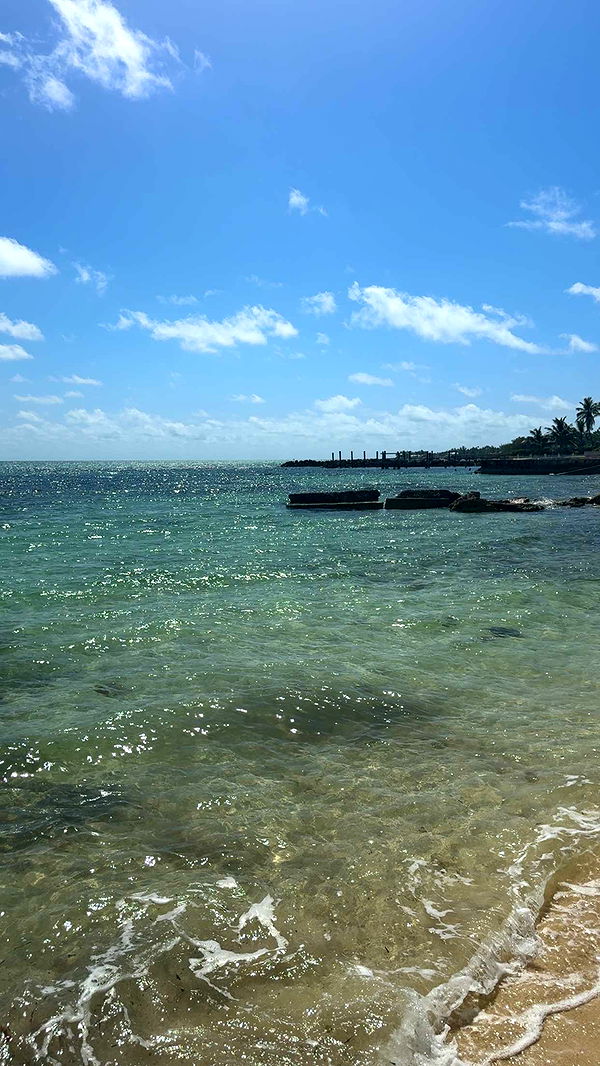 abbyy.irl image ~ Altpins