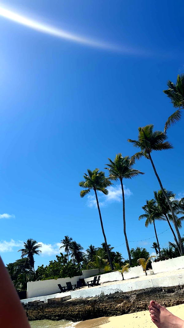 abbyy.irl image ~ Altpins