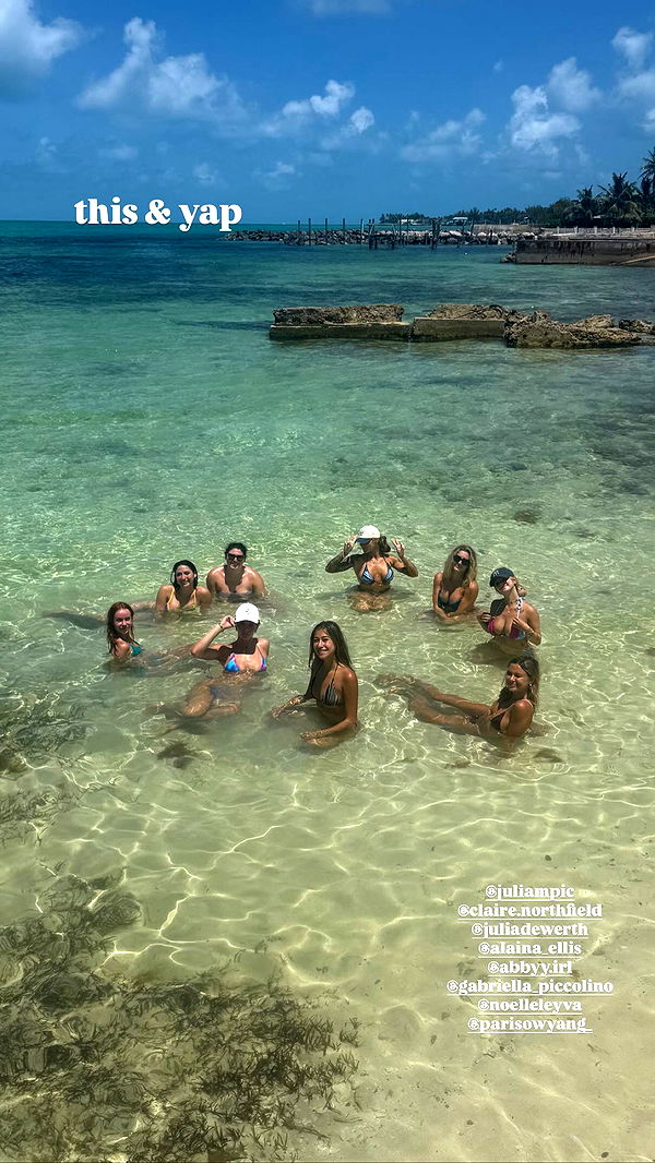 abbyy.irl image ~ Altpins