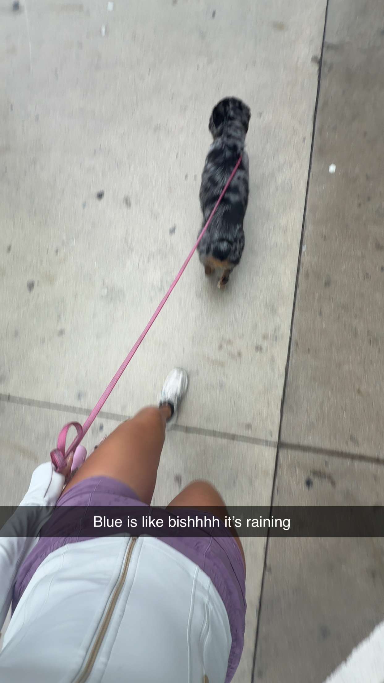 abbyy.irl snapchat image archive image