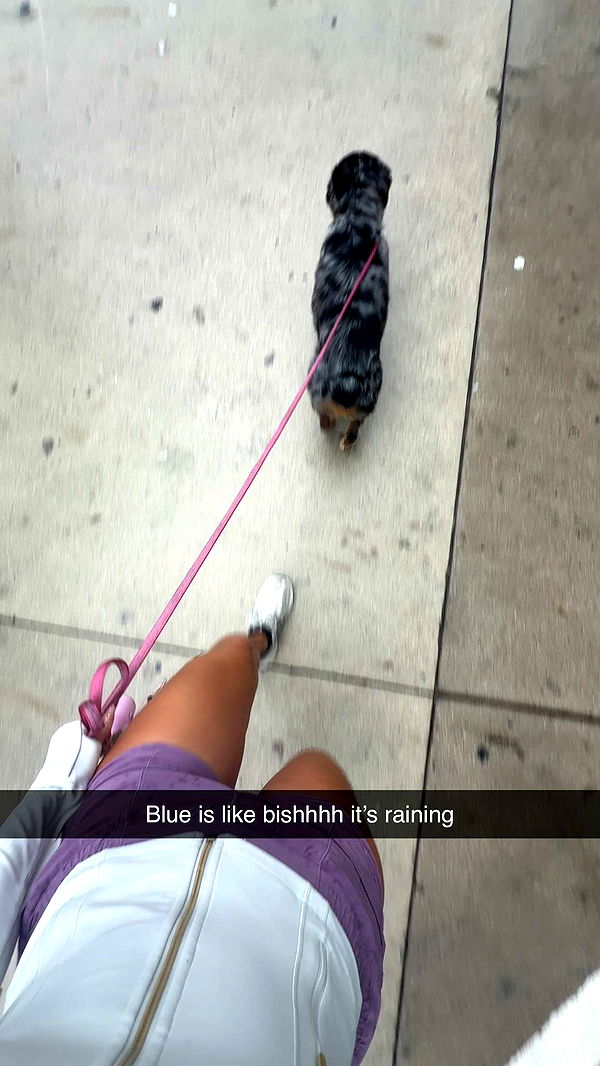 abbyy.irl image ~ Altpins