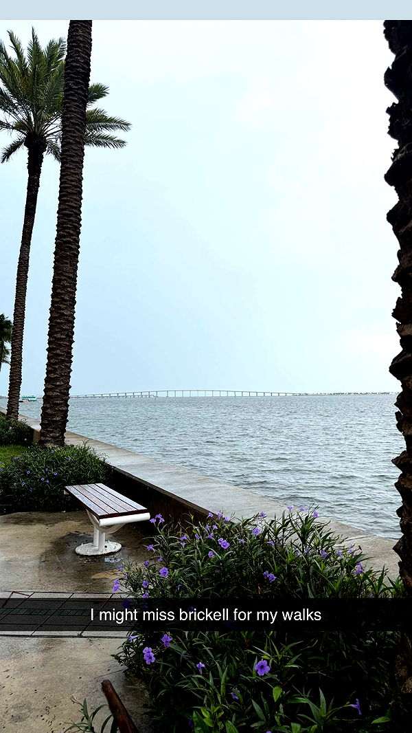 abbyy.irl image ~ Altpins