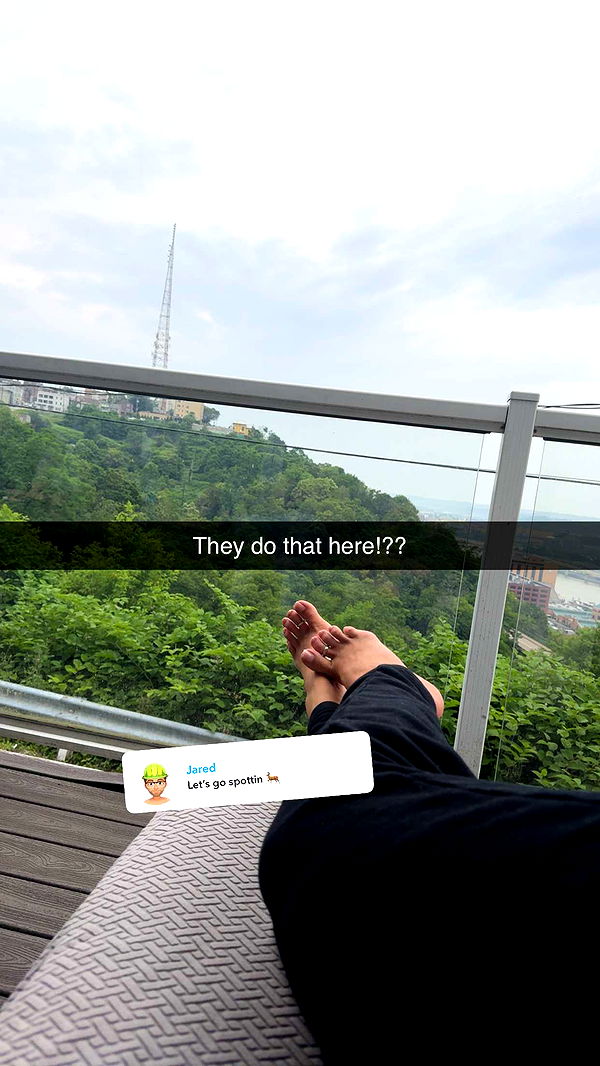 abbyy.irl image ~ Altpins