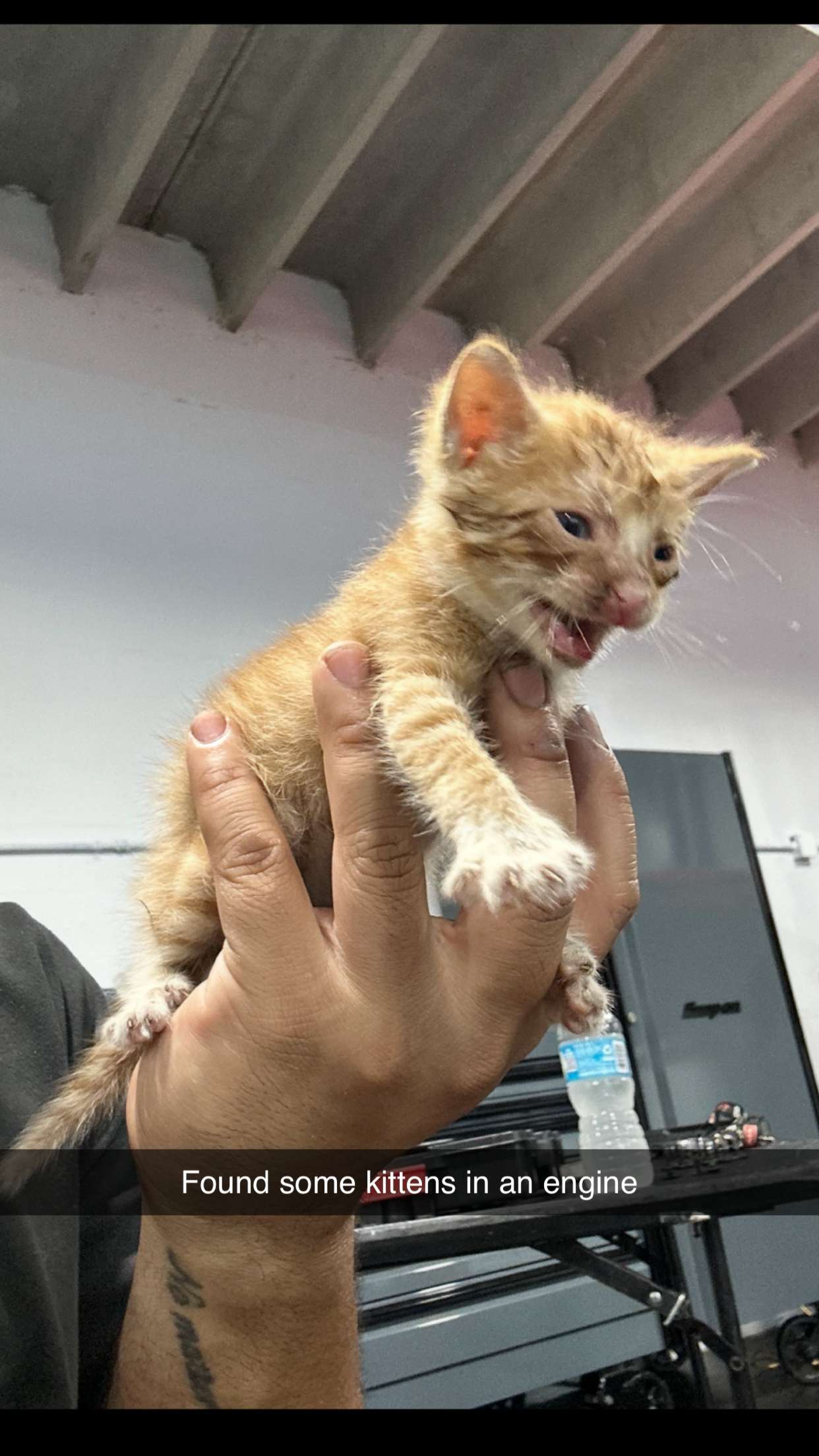 abbyy.irl snapchat image archive image