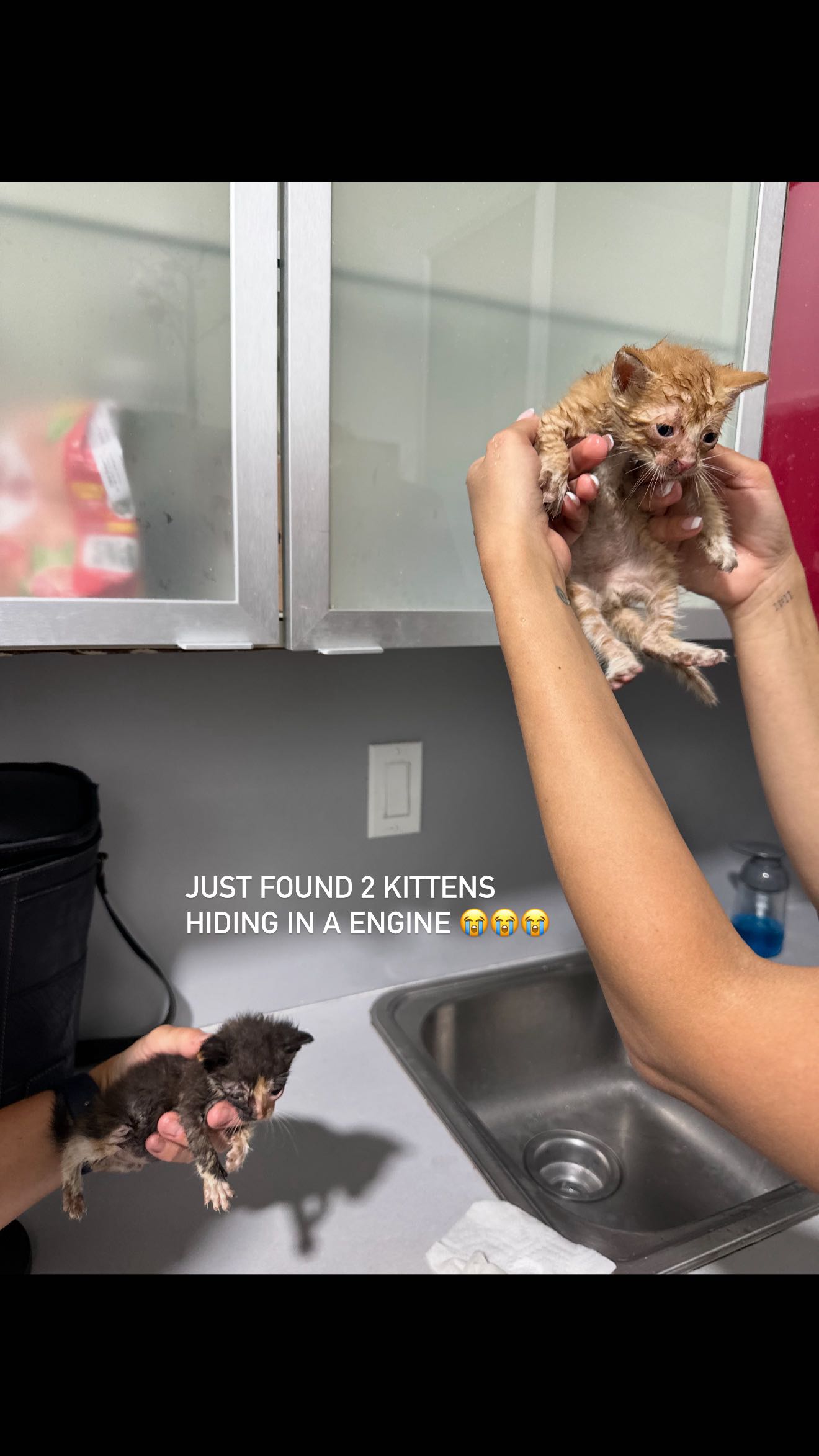 abbyy.irl snapchat image archive image