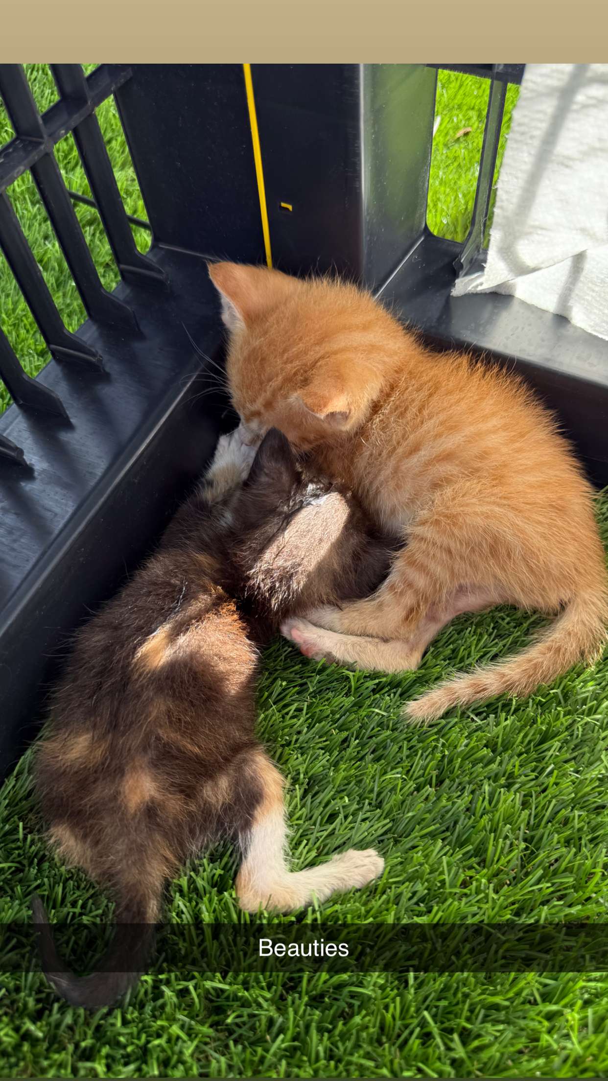 abbyy.irl snapchat image archive image