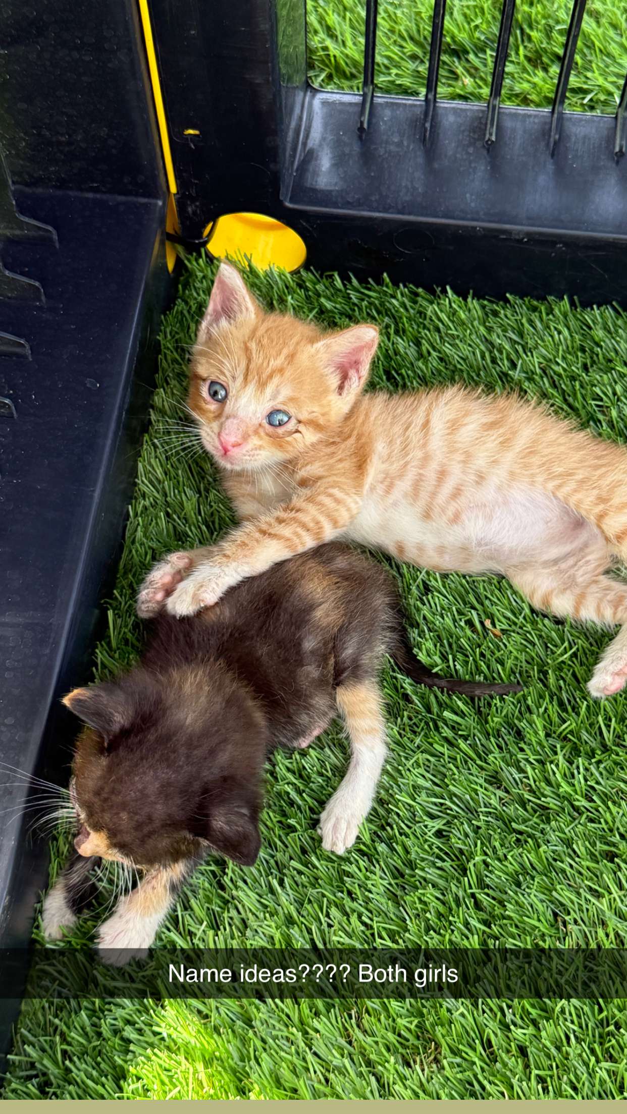 abbyy.irl snapchat image archive image