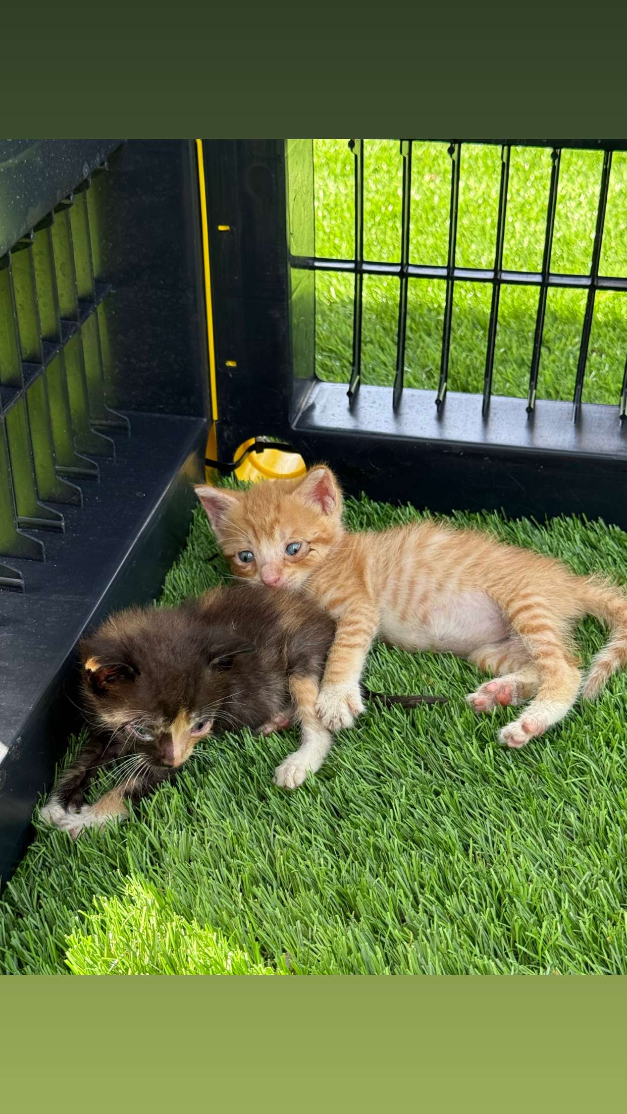 abbyy.irl snapchat image archive image