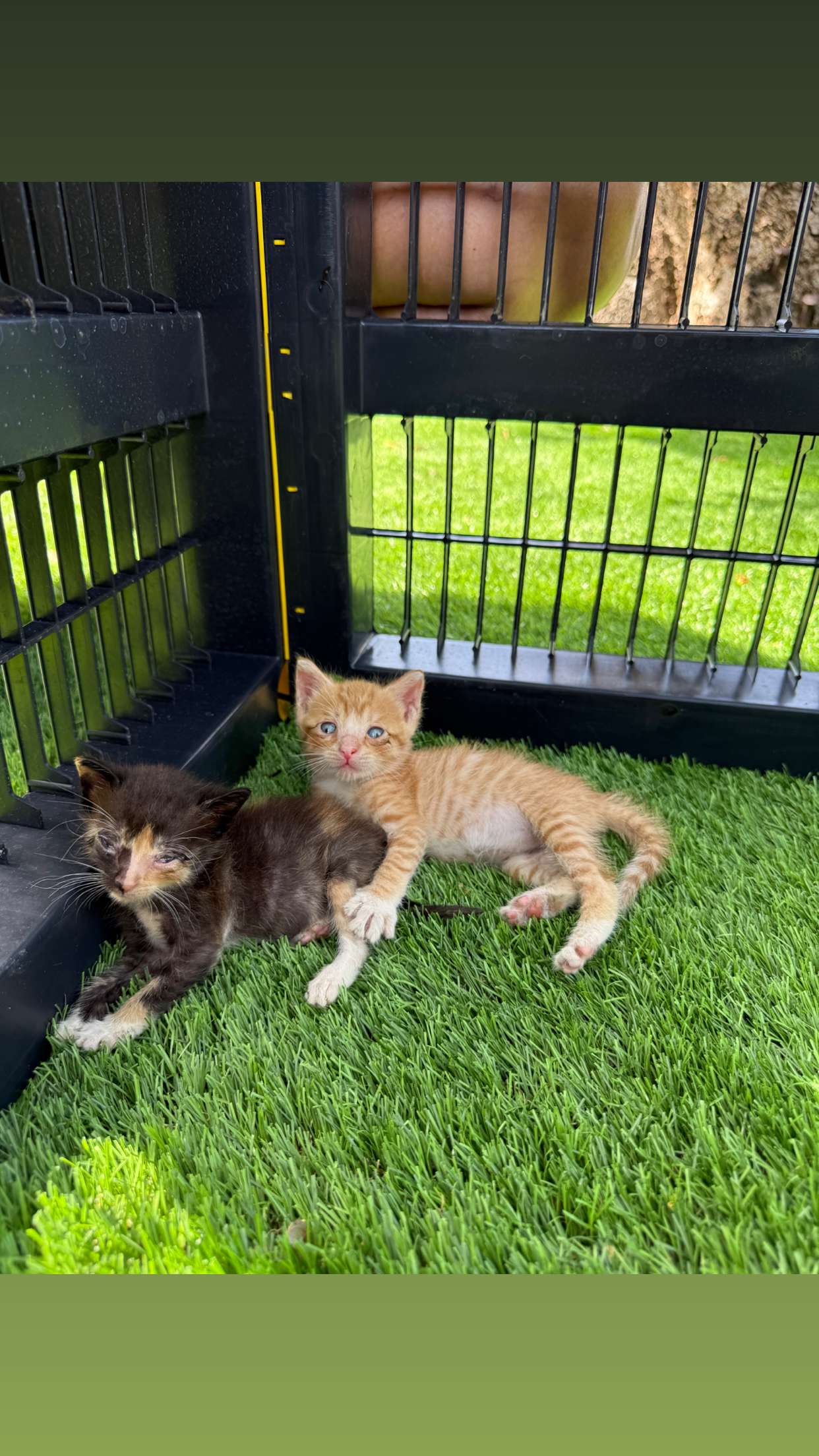 abbyy.irl snapchat image archive image