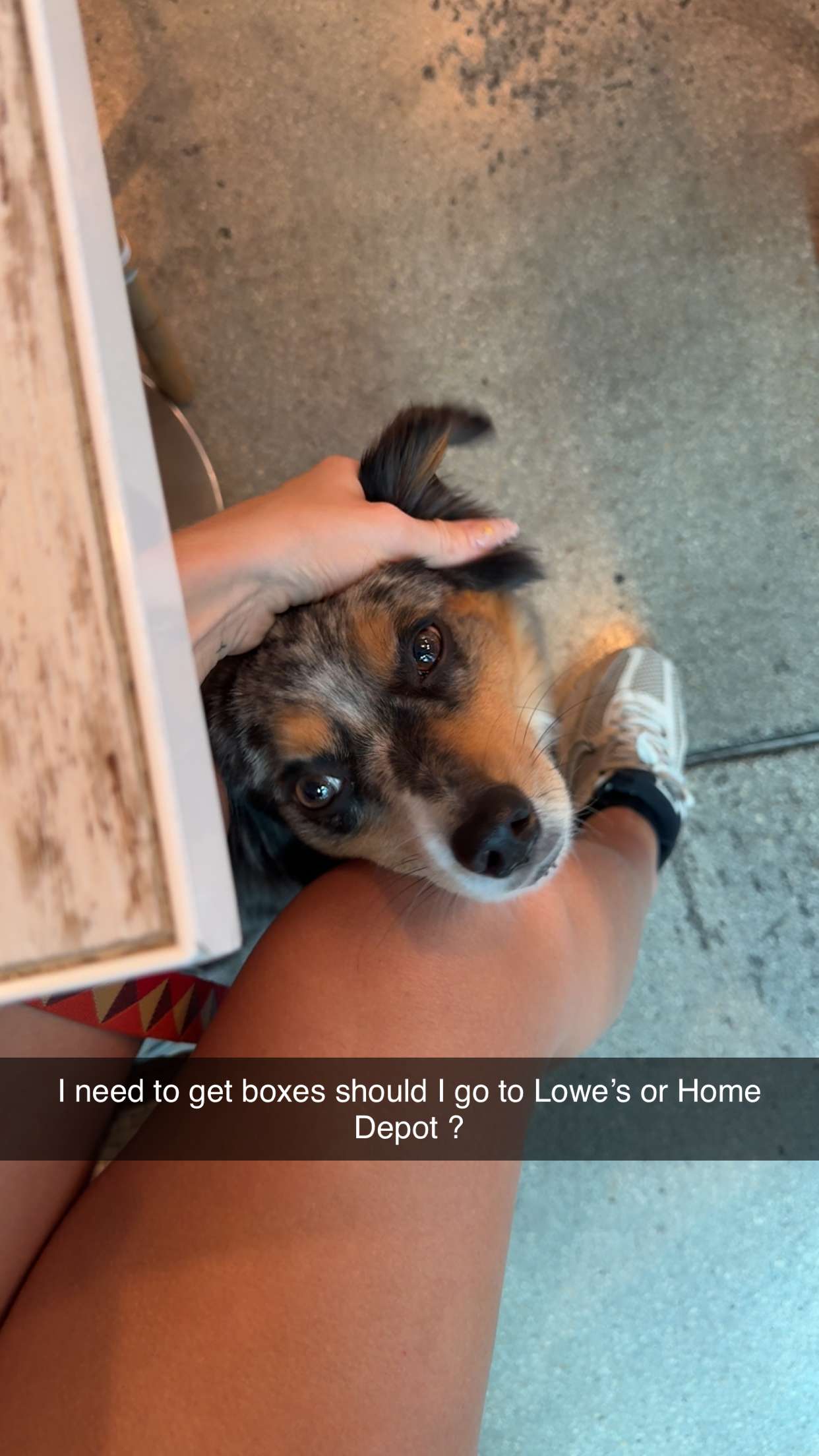 abbyy.irl snapchat image archive image