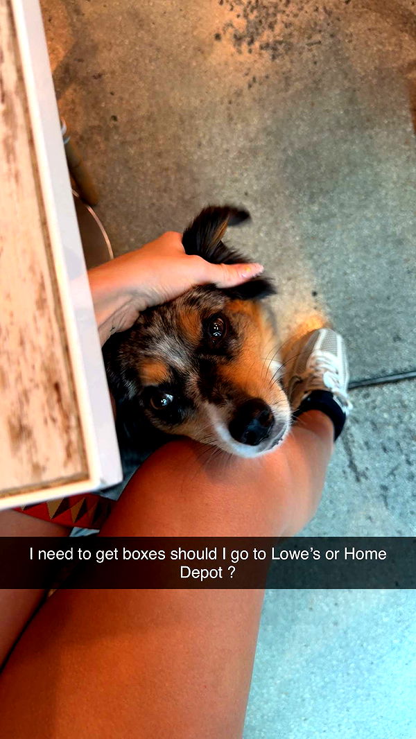 abbyy.irl image ~ Altpins