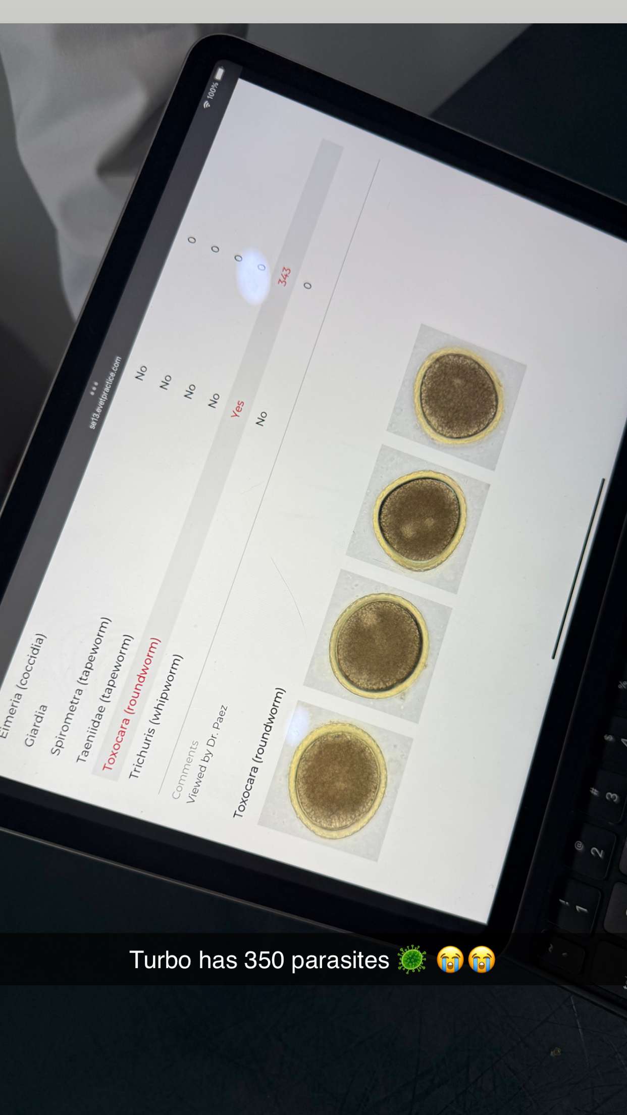 abbyy.irl snapchat image archive image