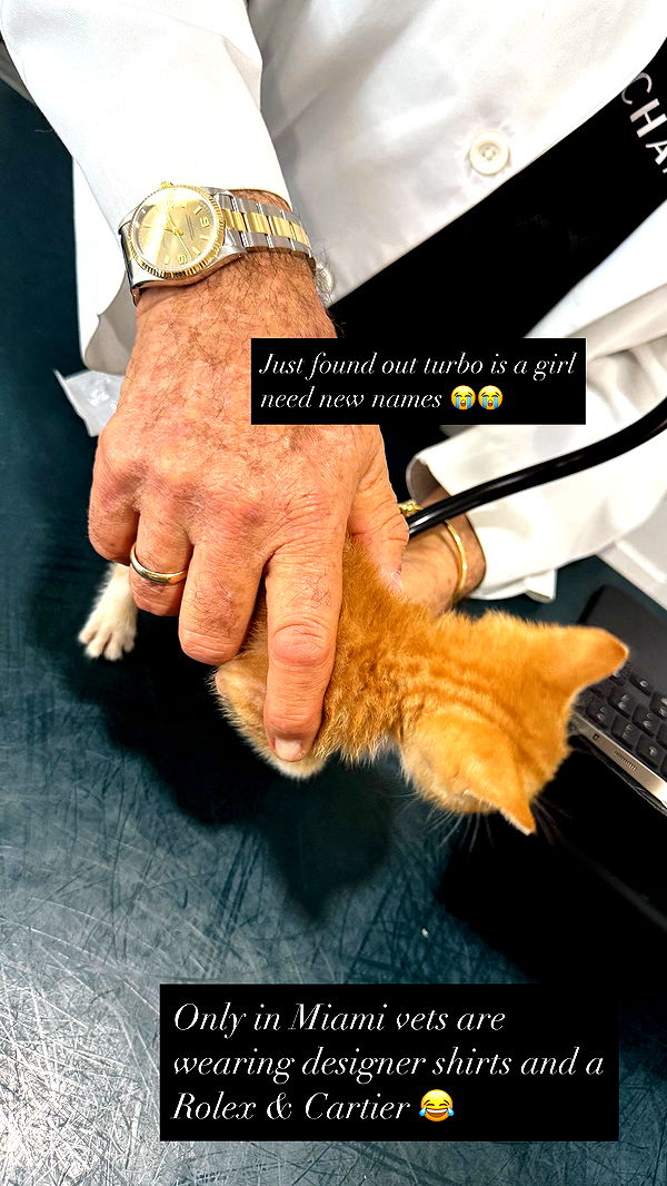 abbyy.irl image ~ Altpins