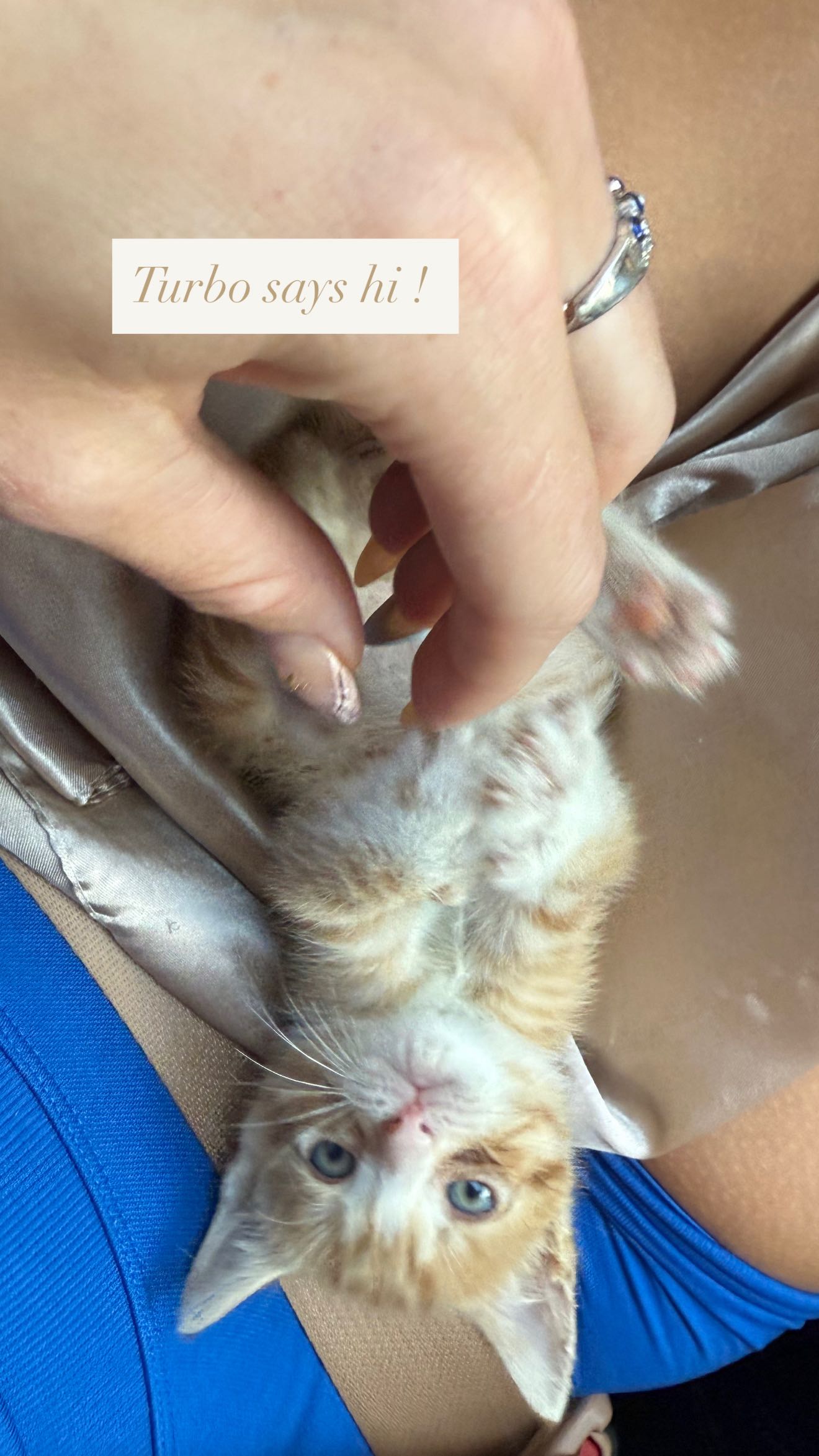 abbyy.irl snapchat image archive image