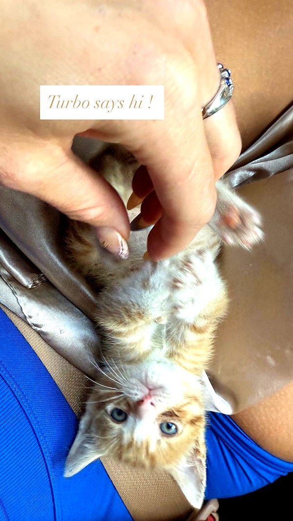 abbyy.irl image ~ Altpins