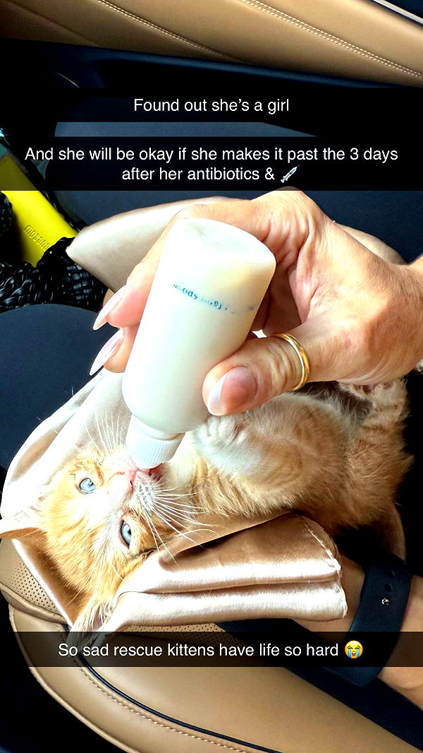 abbyy.irl image ~ Altpins