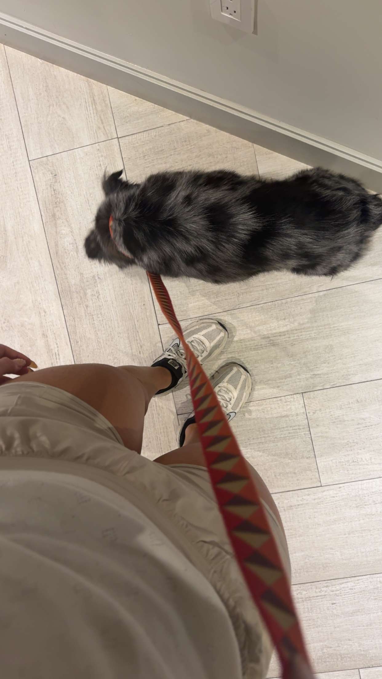 abbyy.irl snapchat image archive image