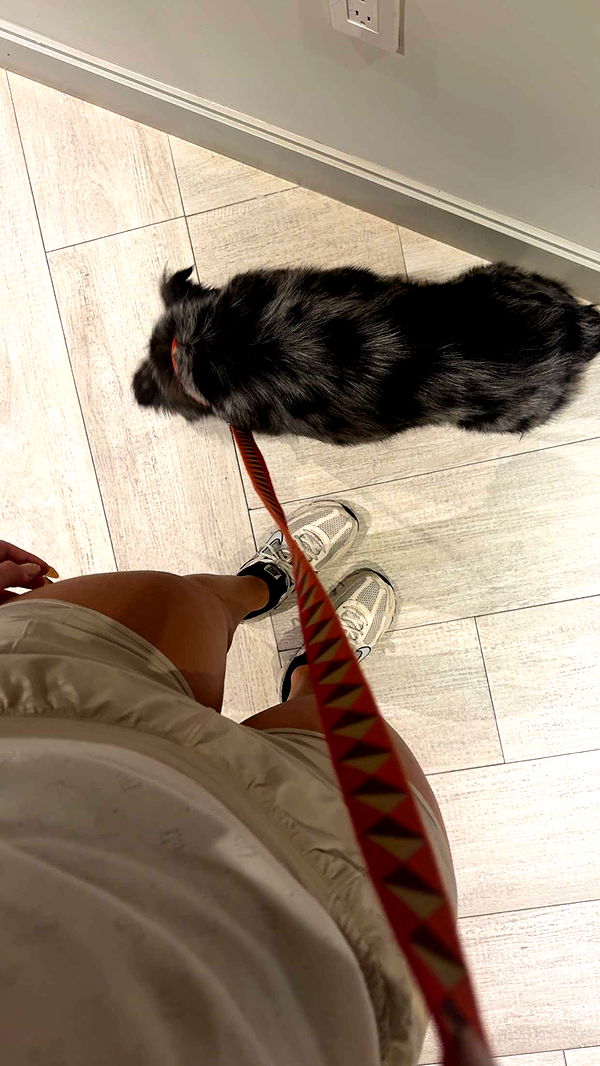 abbyy.irl image ~ Altpins