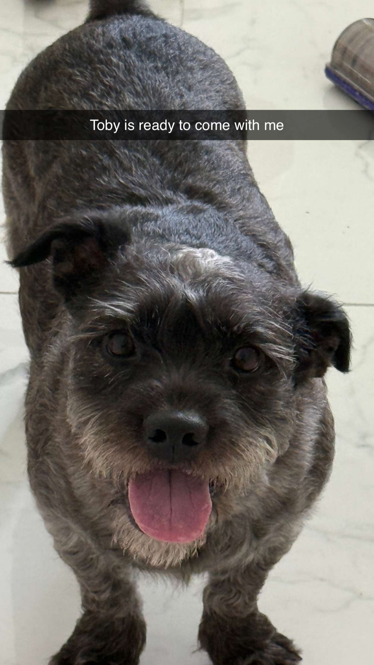 abbyy.irl snapchat image archive image