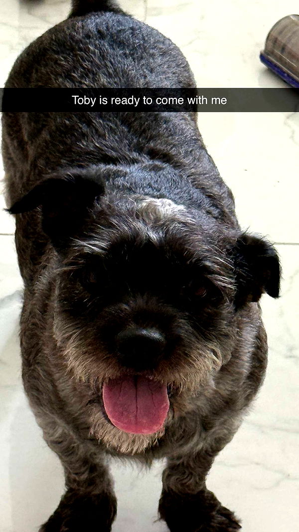 abbyy.irl image ~ Altpins