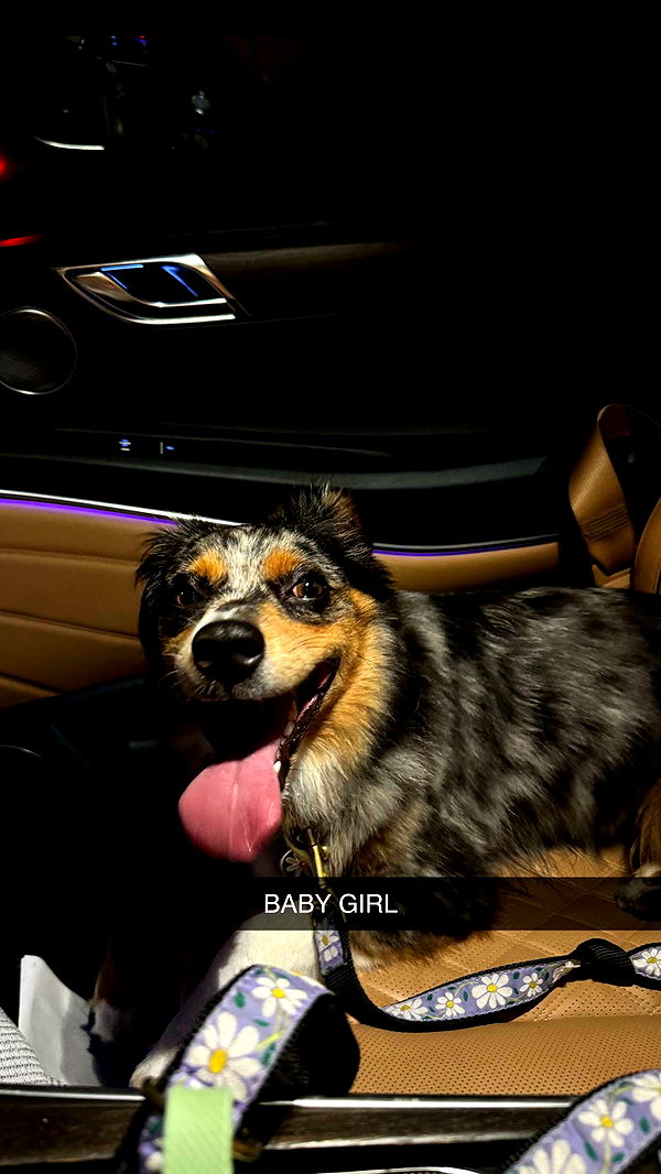 abbyy.irl image ~ Altpins