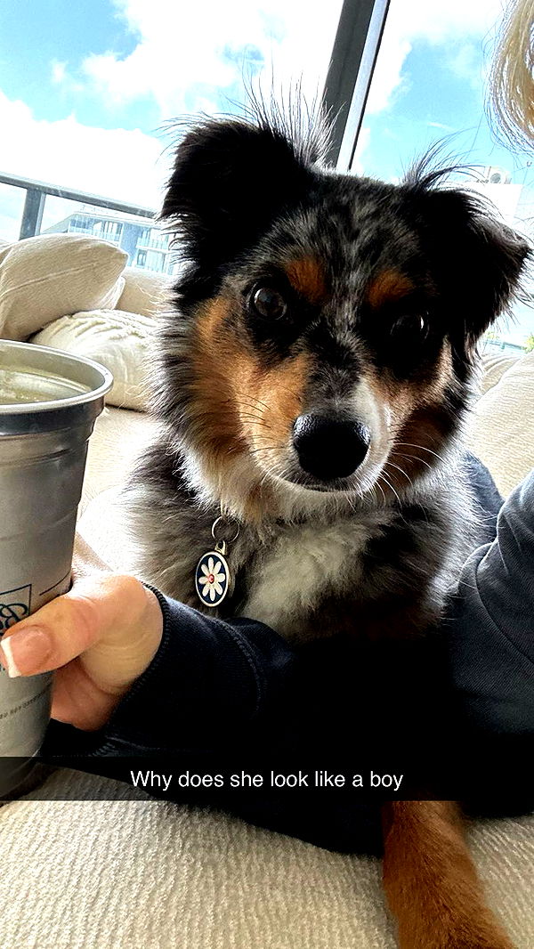 abbyy.irl image ~ Altpins