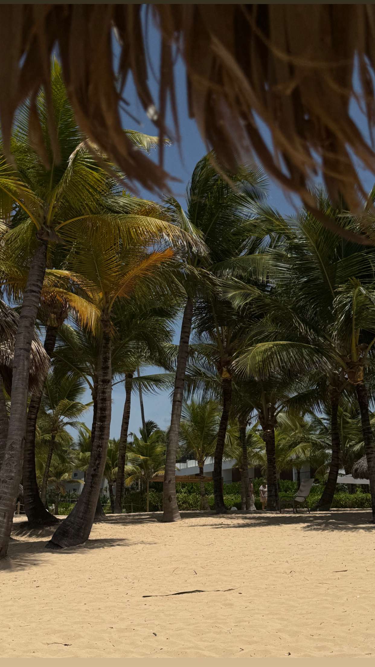 abbyy.irl snapchat image archive image