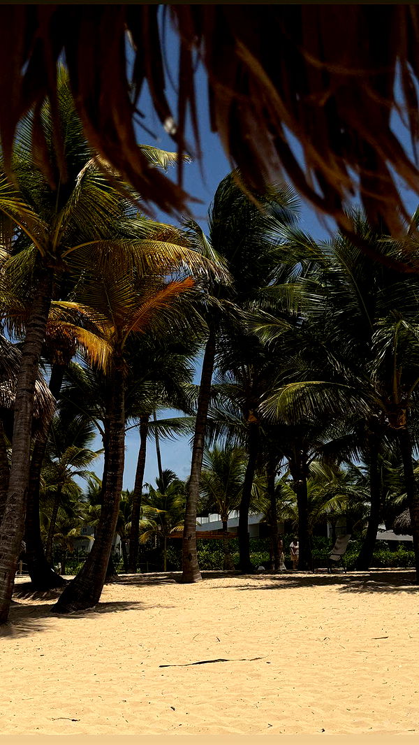 abbyy.irl image ~ Altpins