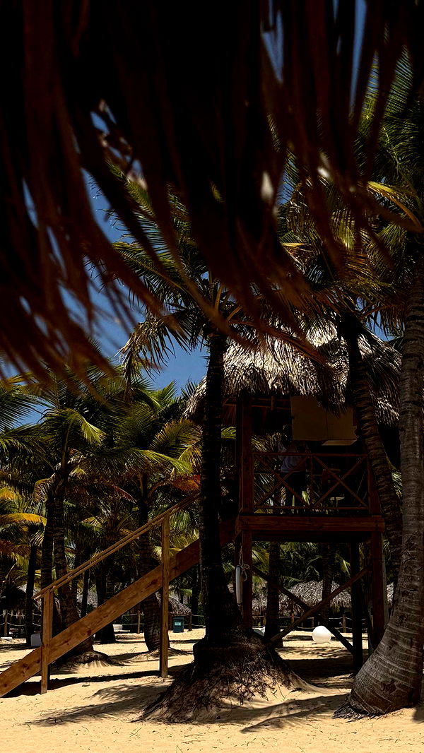 abbyy.irl image ~ Altpins