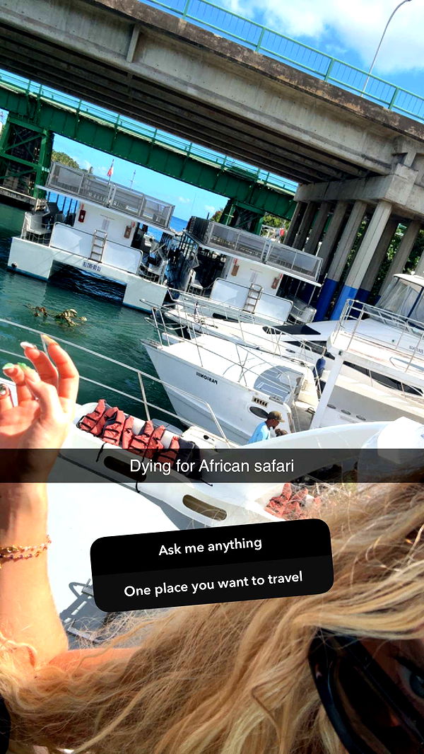 abbyy.irl image ~ Altpins