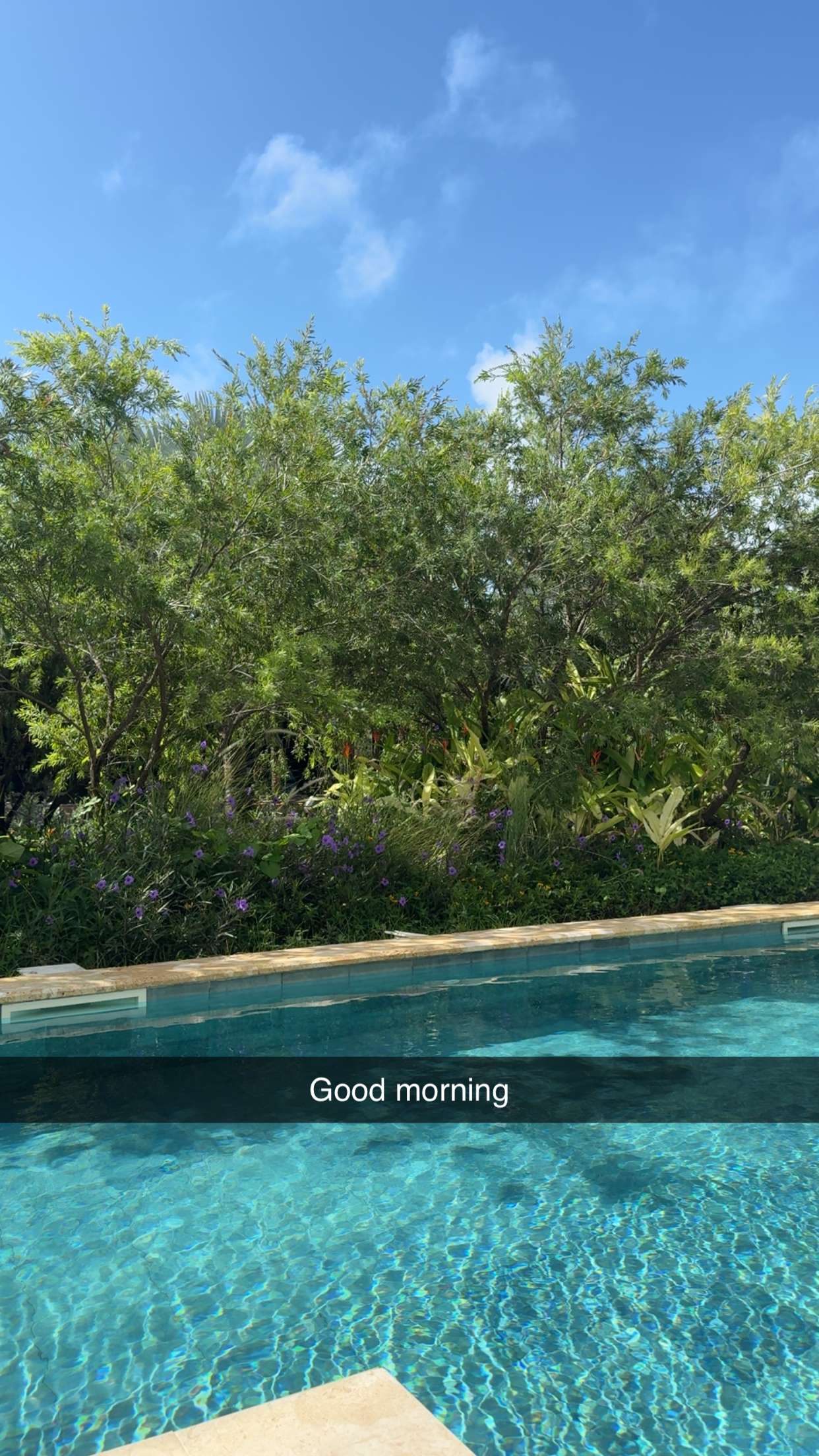 abbyy.irl snapchat image archive image