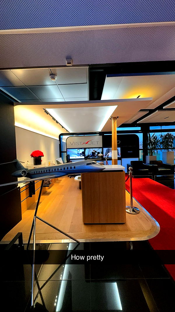 abbyy.irl image ~ Altpins