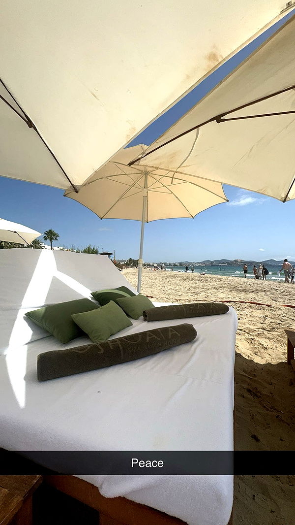 abbyy.irl image ~ Altpins