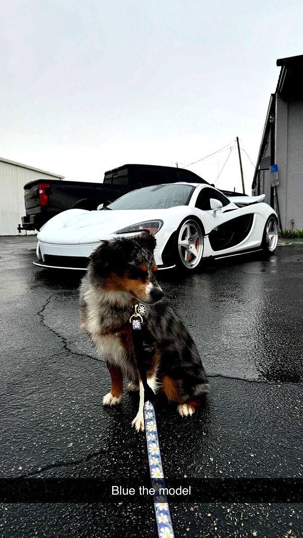 abbyy.irl image ~ Altpins