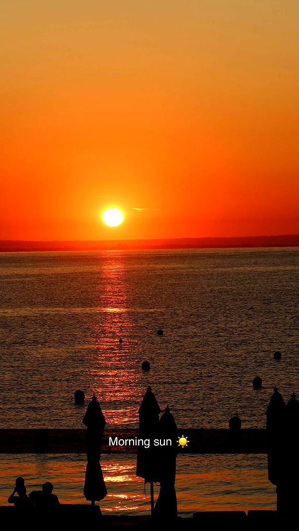 abbyy.irl image ~ Altpins