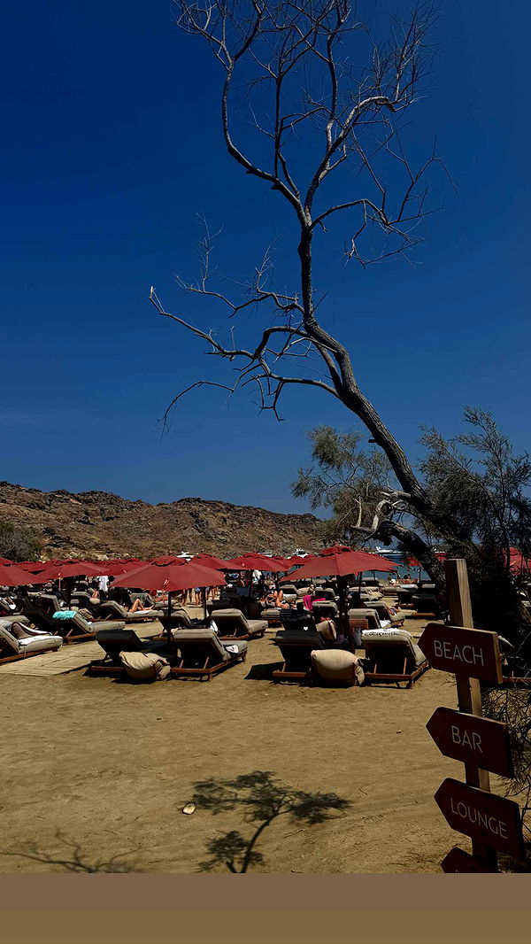 abbyy.irl image ~ Altpins