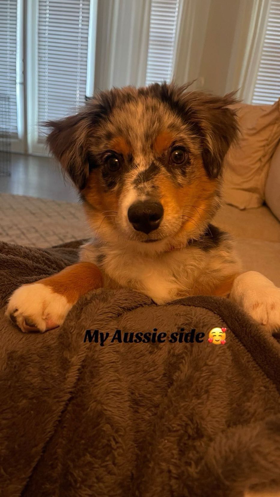 abbyy.irl snapchat image archive image